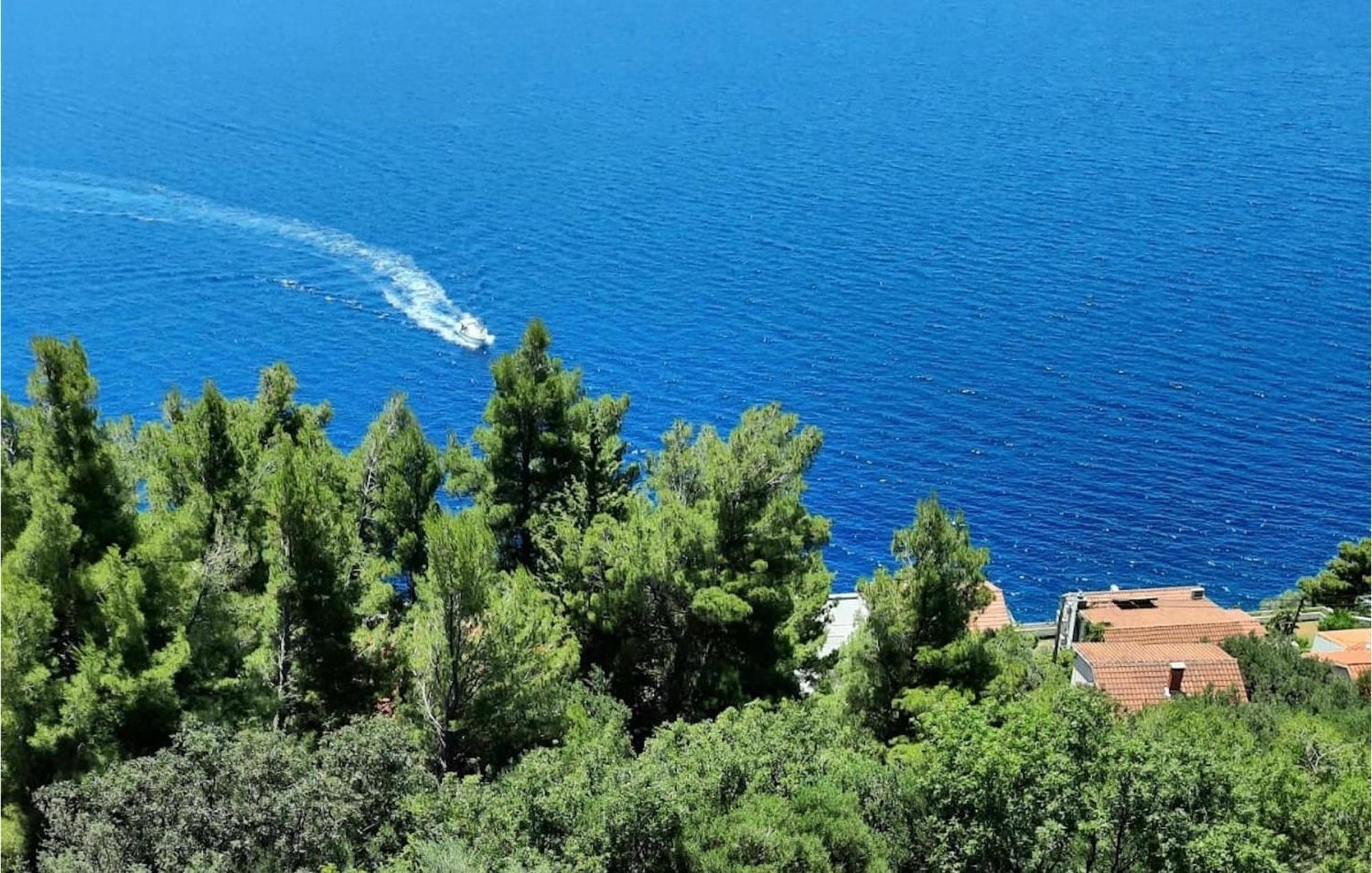 Blue Dream Pisak * Makarska